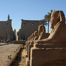 Luxor Day Tours